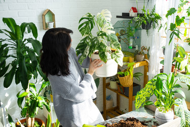 Similar image 22430357