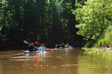 Similar image 22430365