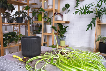 Similar image 22430367