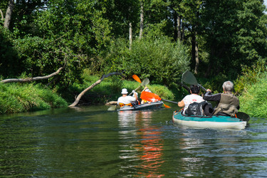 Similar image 22430374