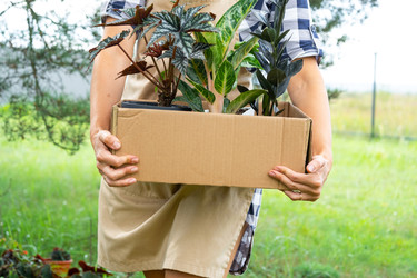 Similar image 22430375