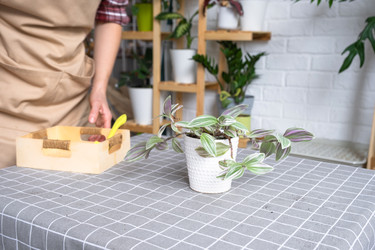 Similar image 22430380