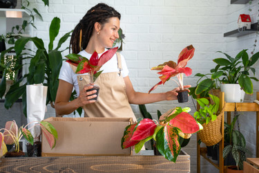 Similar image 22430381