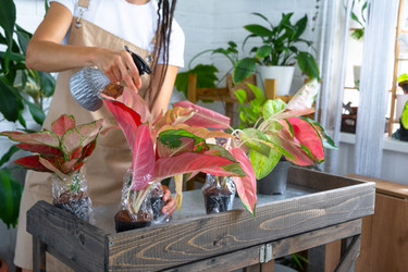 Similar image 22430385