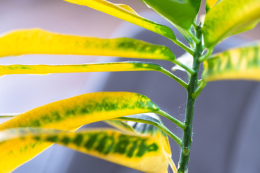 Similar image 22430395