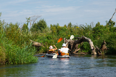 Similar image 22430398