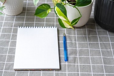 Similar image 22430412