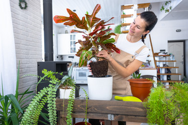 Similar image 22430414