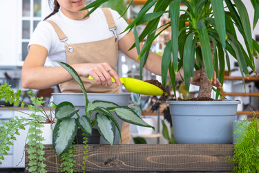 Similar image 22430433