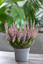 Similar image 22430440