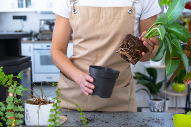 Similar image 22430444