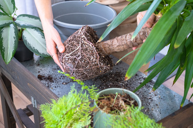 Similar image 22430445