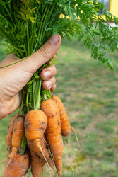 Similar image 22430446