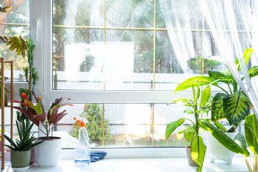 Similar image 22430452