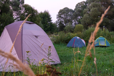 Similar image 22430455