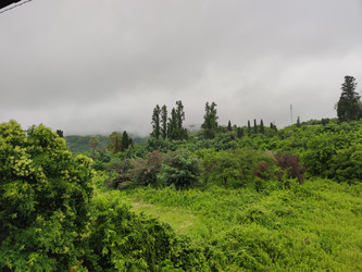 Similar image 22425123