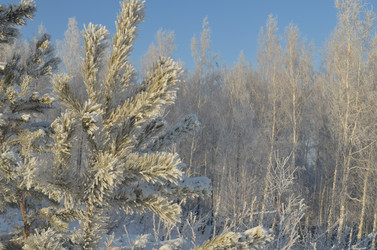 Similar image 22425124