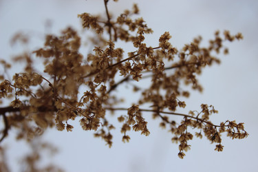 Similar image 22425126