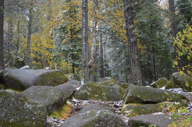 Similar image 22425128