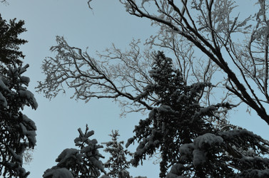 Similar image 22425130