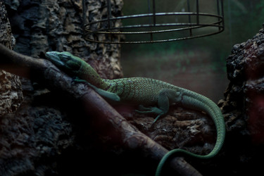 Similar image 22425131