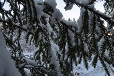 Similar image 22425135