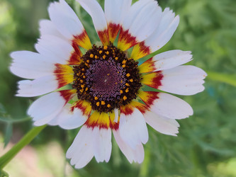 Similar image 22425136