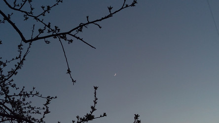 Similar image 22425138