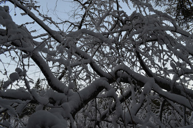 Similar image 22425140