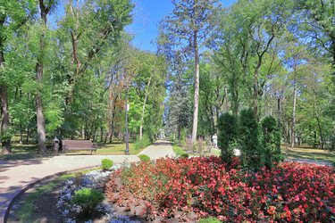 Similar image 22419115