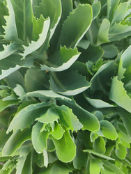 Similar image 22425604