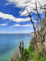 Similar image 22425605