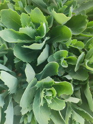 Similar image 22425609