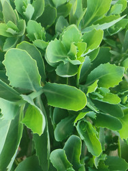 Similar image 22425612