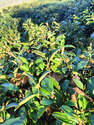 Similar image 22425618