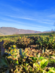 Similar image 22425620