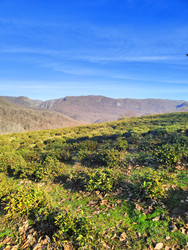 Similar image 22425621