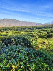 Similar image 22425622