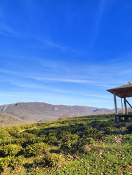 Similar image 22425623