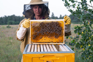 Similar image 22430456