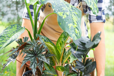 Similar image 22430457