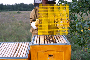 Similar image 22430458