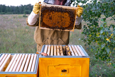 Similar image 22430459