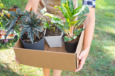 Similar image 22430460