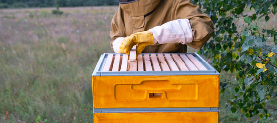 Similar image 22430462