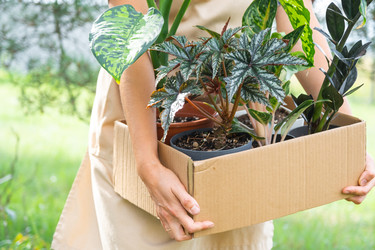 Similar image 22430463