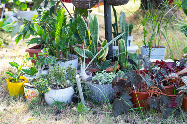 Similar image 22430465