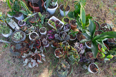 Similar image 22430466