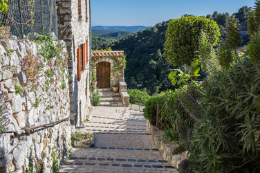 Similar image 22423279