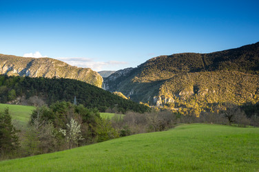 Similar image 22423281